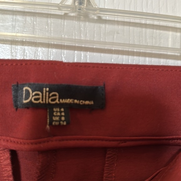 DALIA  size 4 fits like a 6 Rust stitch detail thin leg dress pant NWT - Picture 4 of 8
